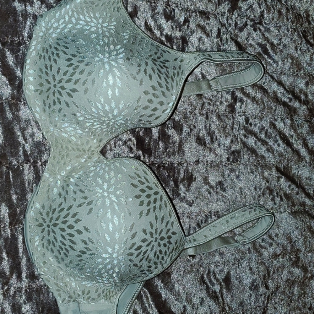 36C bra